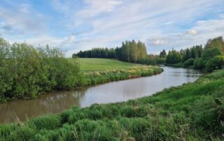 Paimionjoki